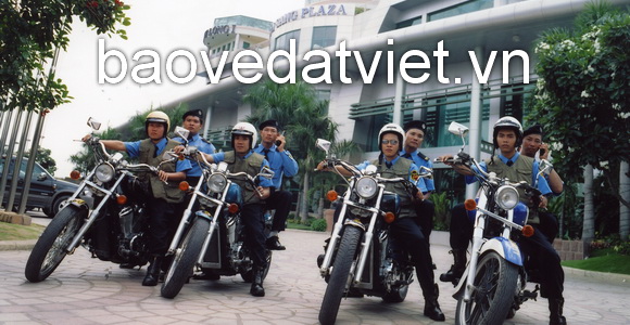 Đội cơ động giám sát Đất Việt