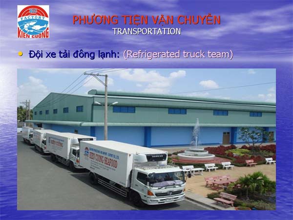 Đội xe tải đông lạnh