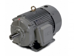 Động cơ điện 1 pha Enertech