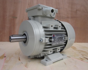 Động cơ điện 3 pha Enertech