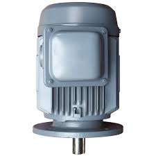 Động cơ điện Hitachi 3 pha mặt bích