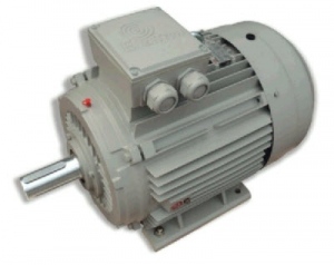 Động cơ điện Enertech