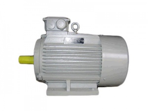 Động cơ điện Guanglu
