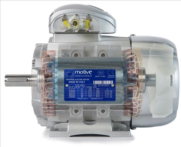 Động cơ giảm tốc Motive