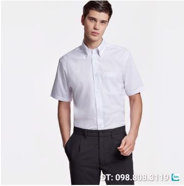 Công sở cộc tay Nam