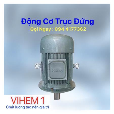 Động cơ 3 pha trục đứng