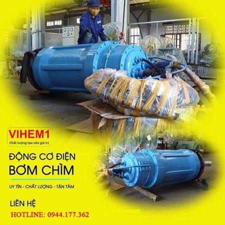 Động cơ bơm chìm