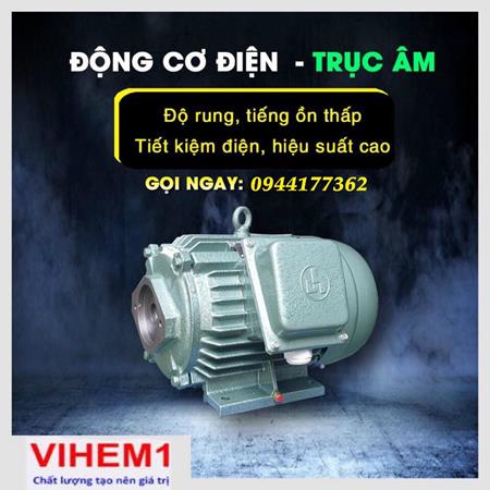 Đông cơ trục âm