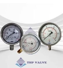 Đồng hồ áp suất có dầu
