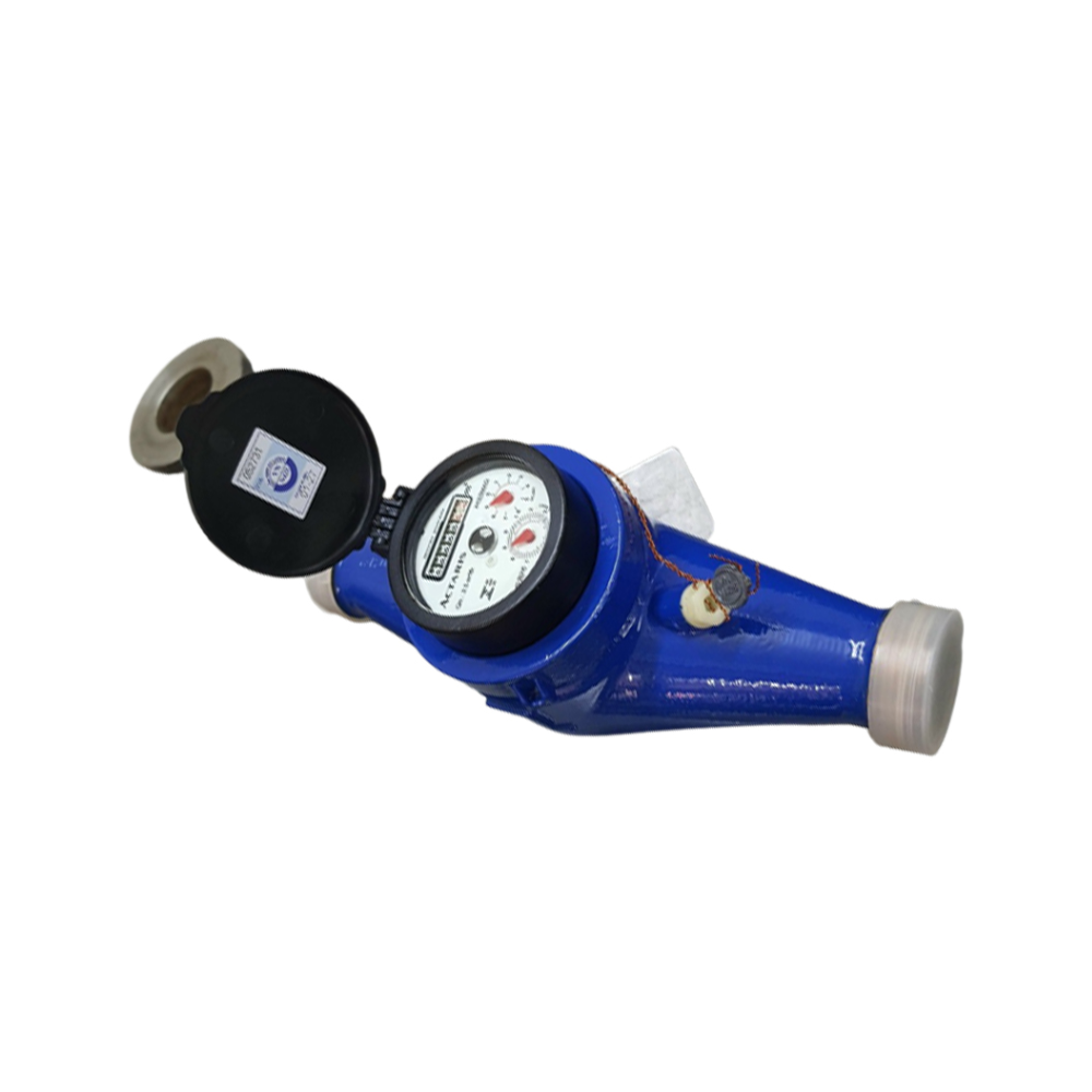 Đồng hồ nước Actaris Multimag