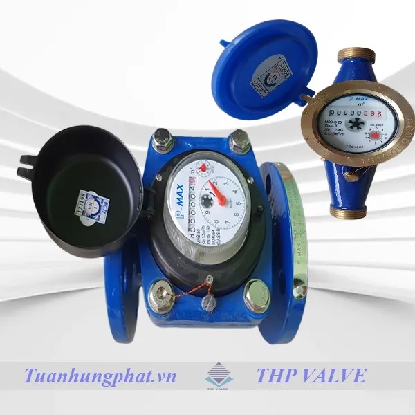 Đồng hồ nước Pmax - Malaysia