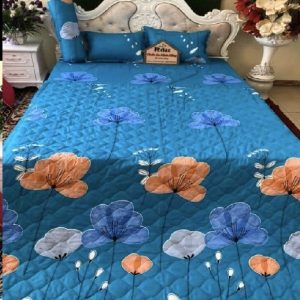 Bộ drap cotton Poly