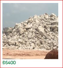 ds400