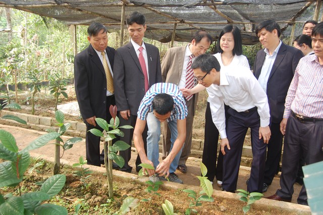 Ông Vũ Đức Đam ghé thăm vườn ươm