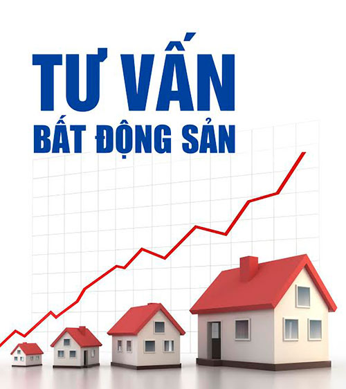 资质或荣誉图片