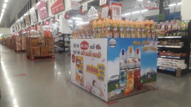 Dự án tiêu biểu