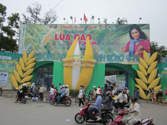 Dự án Festival lúa gạo