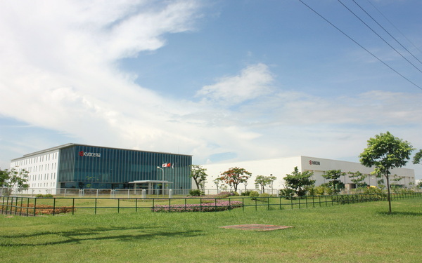 Dự án