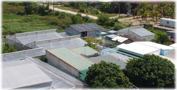 Dự án điện mặt trời áp mái