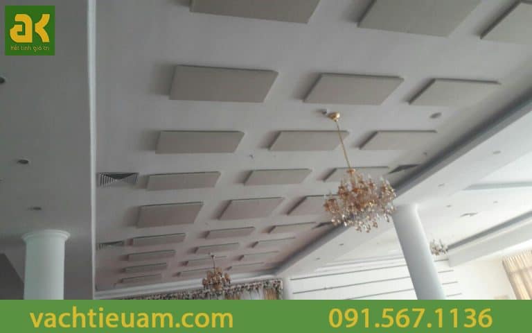 Dự án thi công tiêu âm khác