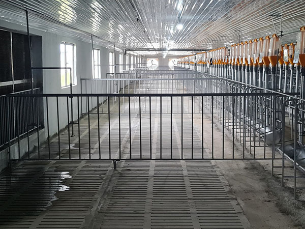 Dự án tiêu biểu