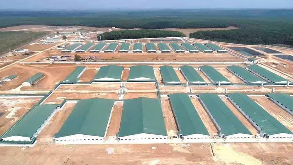Dự án trang trại chăn nuôi lợn công nghệ cao Vĩnh Tú - Quang Trị
