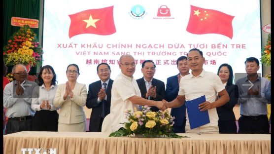 Dự án xây dựng hệ thống quản lý ATTP ISO 22000 cho 8 doanh nghiệp