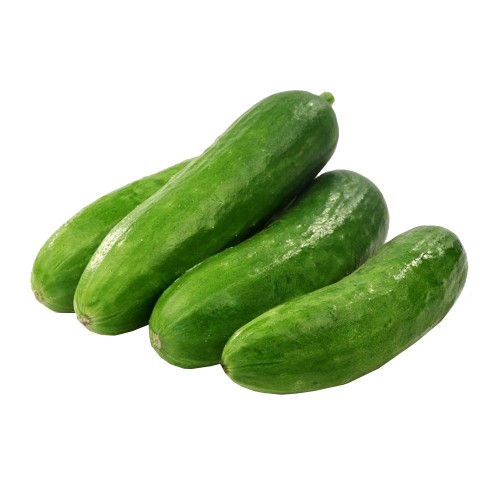 Dưa leo