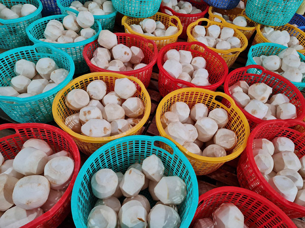 Dừa