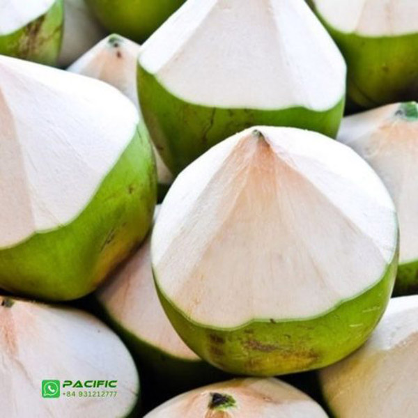 Dừa