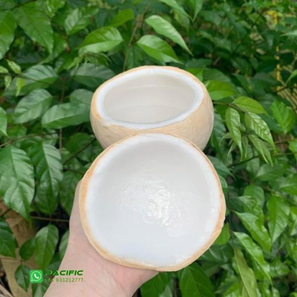 Dự án đã triển khai