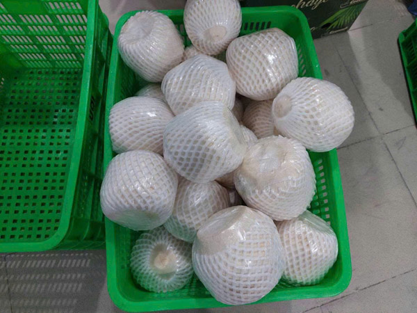 Dừa