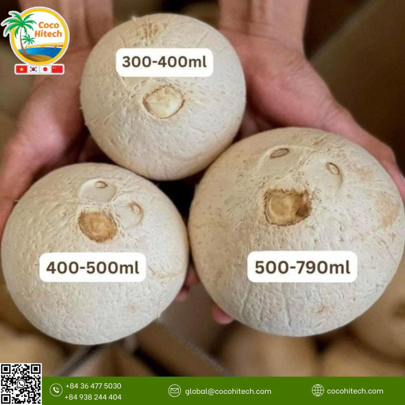 Dừa non