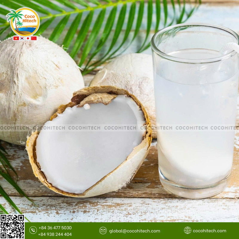 Dừa non