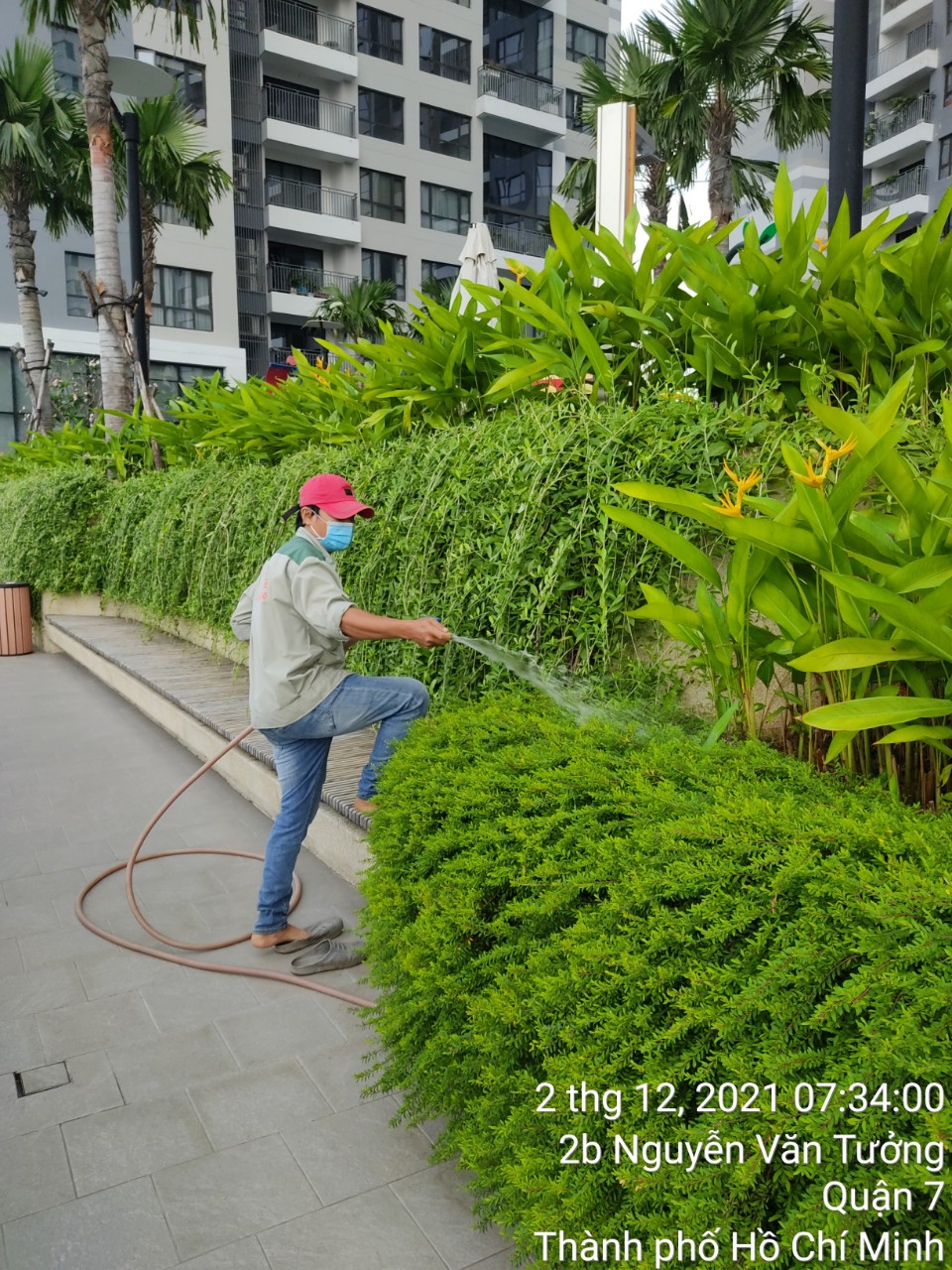 Hình ảnh dự án