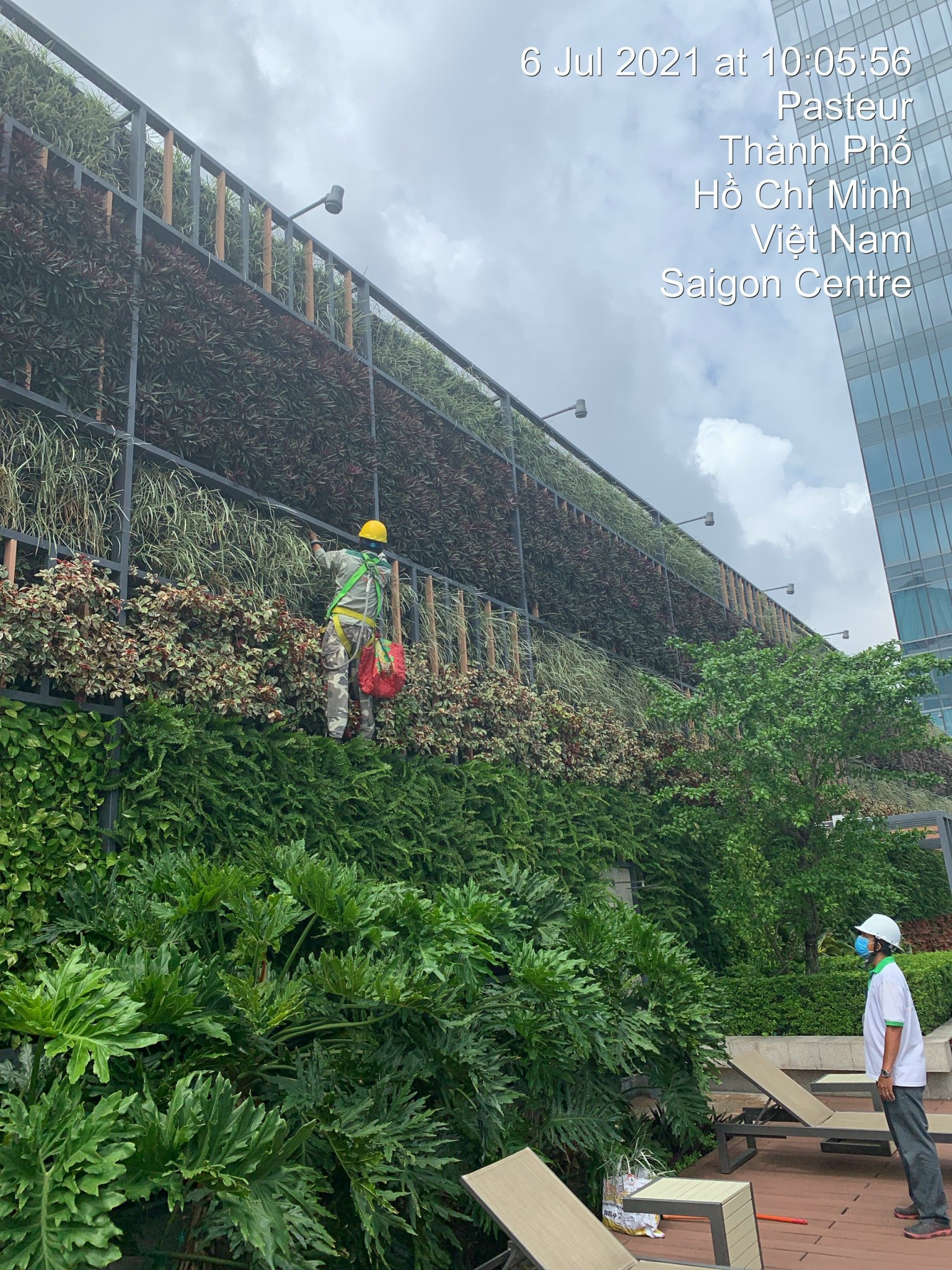 Hình ảnh dự án
