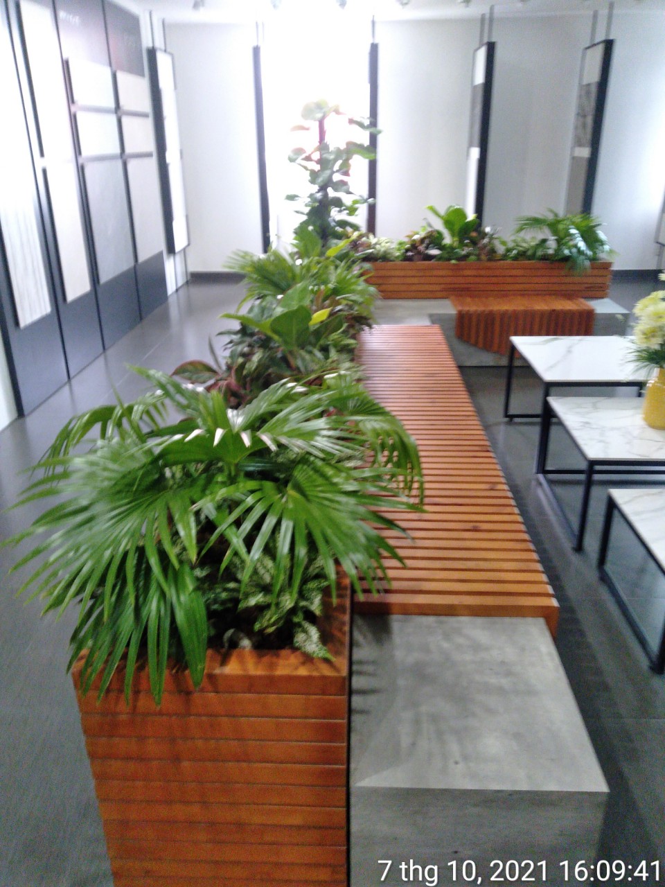 Hình ảnh dự án