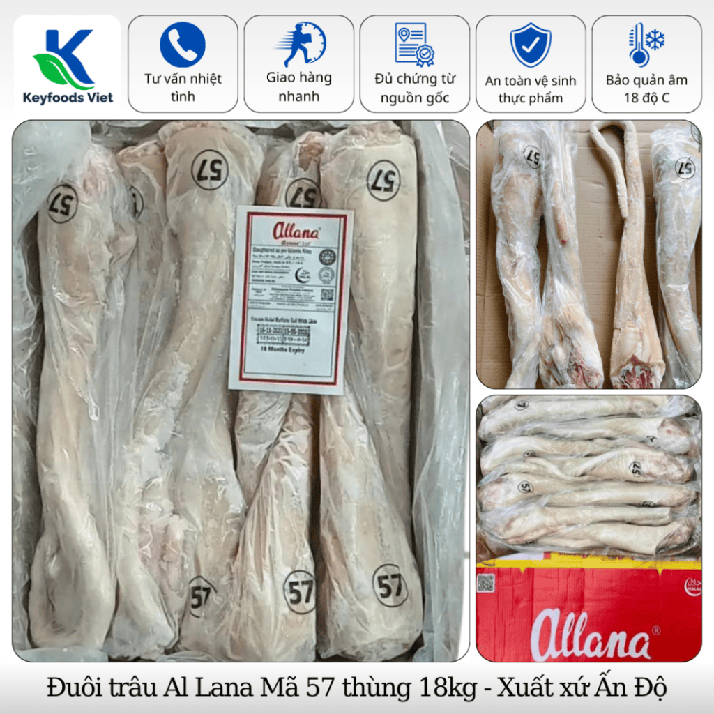 Đuôi trâu M57 ALLana
