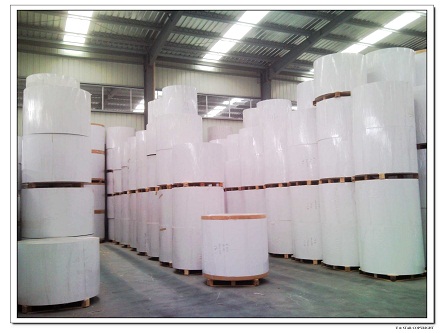 Giấy Duplex coated white