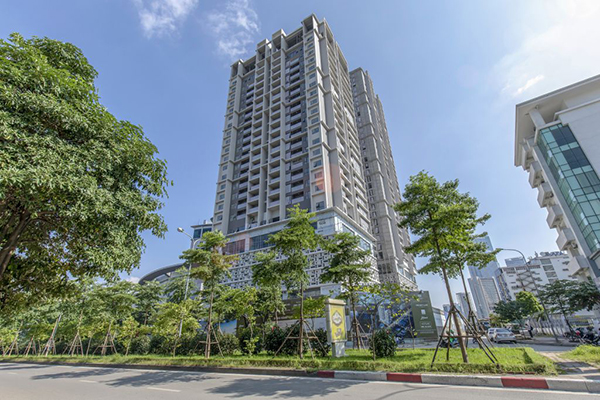 Duy tu cây cảnh