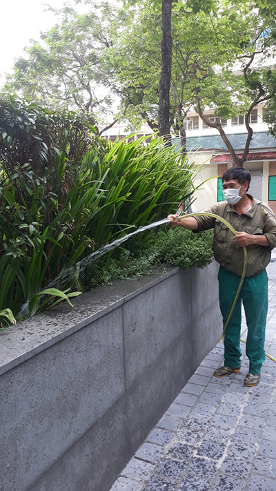 Duy tu cây cảnh