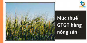 Mức thuế GTGT hàng nông sản