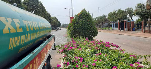 Dịch vụ cây xanh