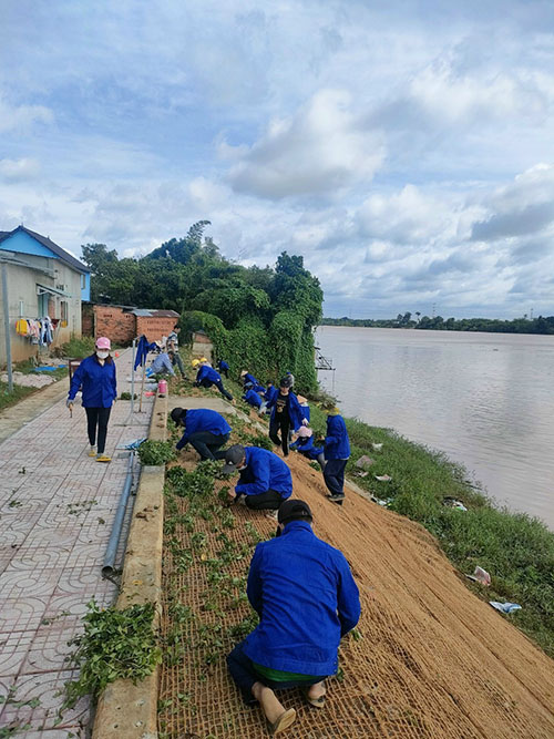 Dịch vụ cây xanh