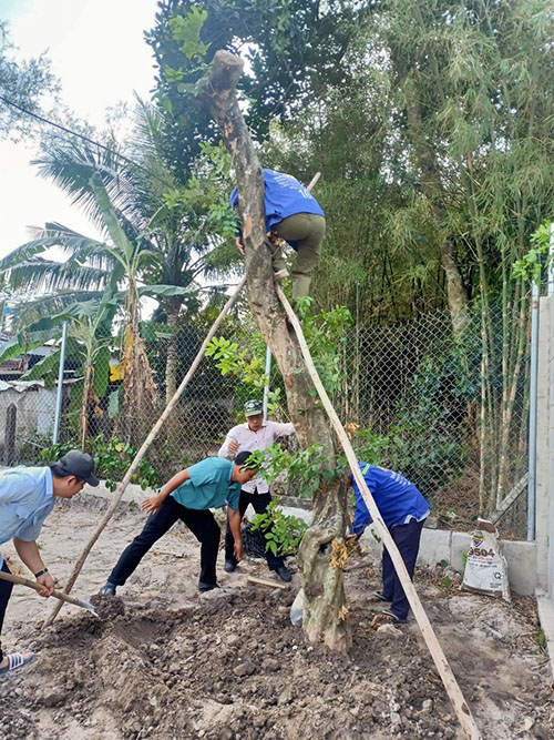 Dịch vụ cây xanh