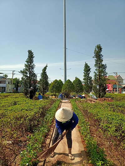 Dịch vụ cây xanh