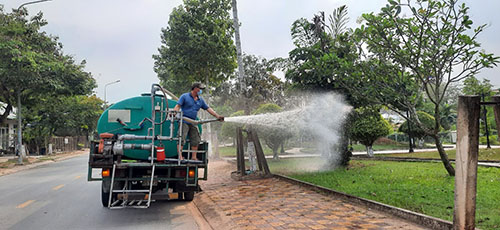 Dịch vụ cây xanh