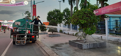 Dịch vụ cây xanh