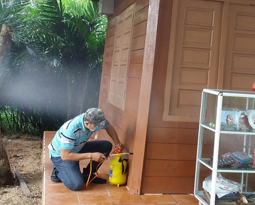 Dịch vụ diệt côn trùng