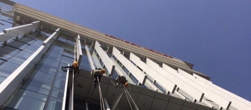 Dịch vụ vệ sinh